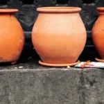 um jardineiro revela as causas da camada branca que reaparece nos vasos e como evitá-la para manter suas plantas saudáveis e bonitas.